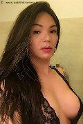 Prato Transex Ana Paola Tx 351 17 11 668 foto selfie 50