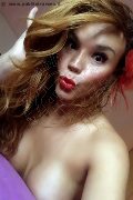 Rimini Transex Angelica Pornostar 347 48 58 254 foto selfie 59