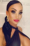 Alba Adriatica Transex Brunet 328 24 42 724 foto selfie 11