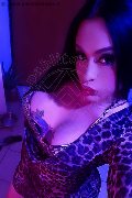 Frosinone Transex Camilla Sexy Bambola 329 70 99 256 foto selfie 4
