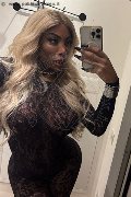 Padova Transex Campbell 393 33 57 541 foto selfie 16