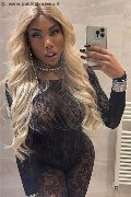 Padova Transex Campbell 393 33 57 541 foto selfie 14