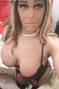 Pavia Transex Channel 338 40 97 317 foto selfie 12