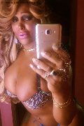 Pavia Transex Channel 338 40 97 317 foto selfie 17