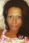 Reggio Emilia Transex Clarissa Ribeiro 380 26 62 801 foto selfie 43