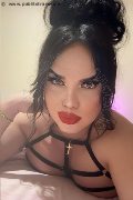 Roma Transex Cristina 380 49 26 793 foto selfie 1