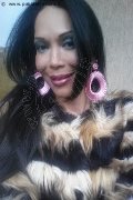 Reggio Emilia Transex Erotika Flavy Star 338 79 27 954 foto selfie 17