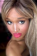 Cuneo Transex Evelyn Domenicana 351 61 54 564 foto selfie 5