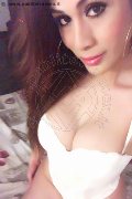 Monza Transex Flavia Araujo 389 28 81 250 foto selfie 29