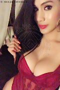 Monza Transex Flavia Araujo 389 28 81 250 foto selfie 28