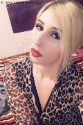 Catania Transex Lady Giorgia 388 46 37 496 foto selfie 29