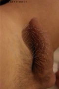 Parma Transex Laviny Albuquerque Pornostar 389 00 19 370 foto selfie 176