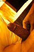 San Paolo Transex Leandra Gouvea 331 89 22 051 foto selfie 8