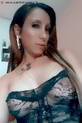 Legnano Transex Leyla 338 33 98 084 foto selfie 37