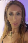 Legnano Transex Leyla 338 33 98 084 foto selfie 27