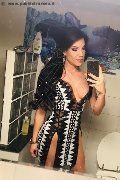 Senigallia Transex Luna Marks Pornostar 334 37 17 752 foto selfie 33