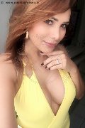Bologna Transex Melyssa Top 351 36 35 488 foto selfie 24