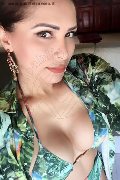 Bologna Transex Melyssa Top 351 36 35 488 foto selfie 14