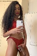 Novara Transex Miele 331 78 08 280 foto selfie 96