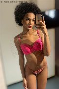 Novara Transex Miele 331 78 08 280 foto selfie 25