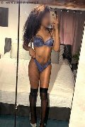 Roma Transex Miele 331 78 08 280 foto selfie 16
