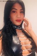 Roma Transex Mikaella Pimentell Pornostar 329 34 10 689 foto selfie 113