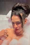 Milano Transex Natalia Rodrigues Pornostar 392 11 96 784 foto selfie 3