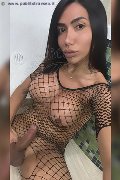 Roma Transex Natyelle Ninfeta 389 11 78 249 foto selfie 54