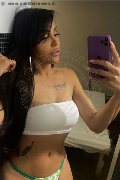 Milano Transex Nicolly Hilton 392 33 27 327 foto selfie 51