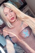 Bruxelles Transex Nicoly 329 33 58 987 foto selfie 17