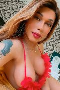 Napoli Transex Ninfetta Geovanna 380 15 95 287 foto selfie 42