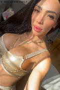 Bari Transex Pamelita 331 15 07 952 foto selfie 23