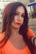 Villorba Transex Pamy La Diva Stellare 324 78 19 703 foto selfie 1059