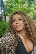 Mestre Transex Paolina Mulatta 333 29 10 933 foto selfie 17