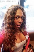 Mestre Transex Paolina Mulatta 333 29 10 933 foto selfie 14