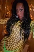 Roma Transex Pryscilla 379 14 66 730 foto selfie 31