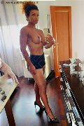 Padova Transex Riccia 366 30 44 467 foto selfie 5