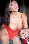 Quarto D'altino Transex Roberta Kelly 331 54 00 919 foto selfie 71