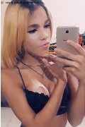 Milano Transex Sofia Rabello 333 53 85 829 foto selfie 28
