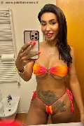  Transex Thayys Castro 329 72 89 046 foto selfie 5