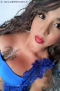 Avellino Transex Trecy 350 98 22 464 foto selfie 1
