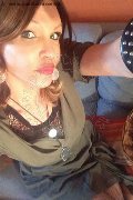Treviso Transex Valeria 338 87 18 849 foto selfie 717