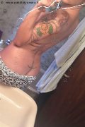 Treviso Transex Valeria 338 87 18 849 foto selfie 1026