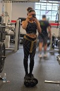 Milano Transex Violet 331 38 81 628 foto selfie 15