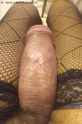 Milano Transex Virna La Super Dotata 349 43 93 969 foto selfie 7