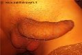 Termoli Transex Vittoria Mazza 334 77 63 969 foto selfie 17