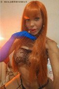 Frosinone Transex Wanessa Armani 351 80 69 231 foto selfie 64