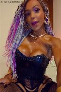 Frosinone Transex Wanessa Armani 351 80 69 231 foto selfie 27