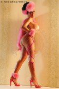 Foto Immagine Sheila Lamborghini Trans Milano 3440149006 - 19