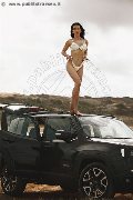 Foto Immagine Vanessa Hilton Trans Modena 3245846577 - 110